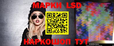 прущие грибы Сланцы