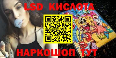 прущие грибы Сланцы
