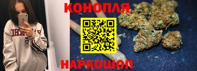 прущие грибы Сланцы