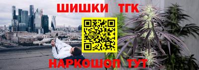 прущие грибы Сланцы