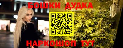 прущие грибы Сланцы